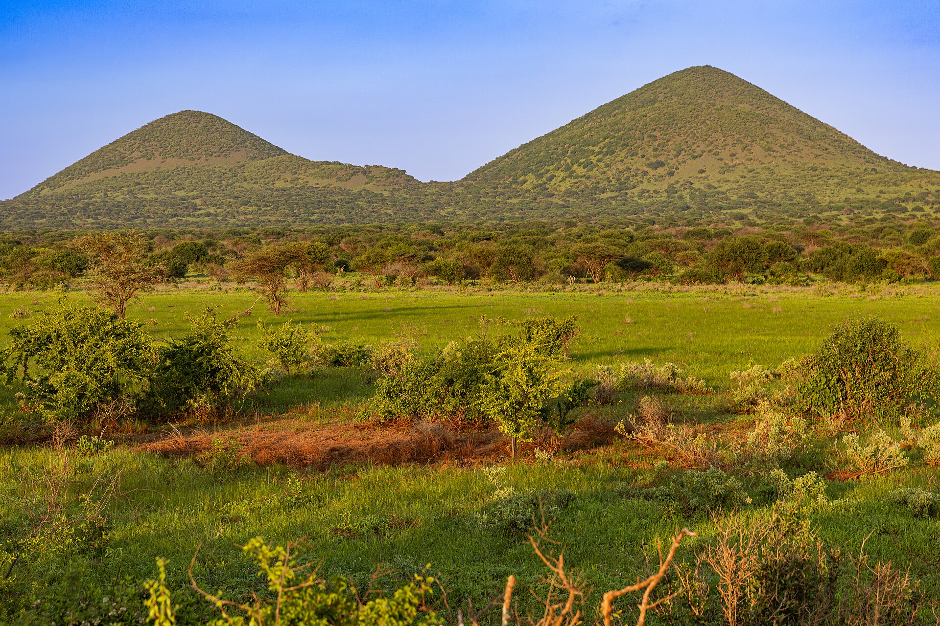 Chyulu Walking Hill on Chyulu Hills Walking Safari
