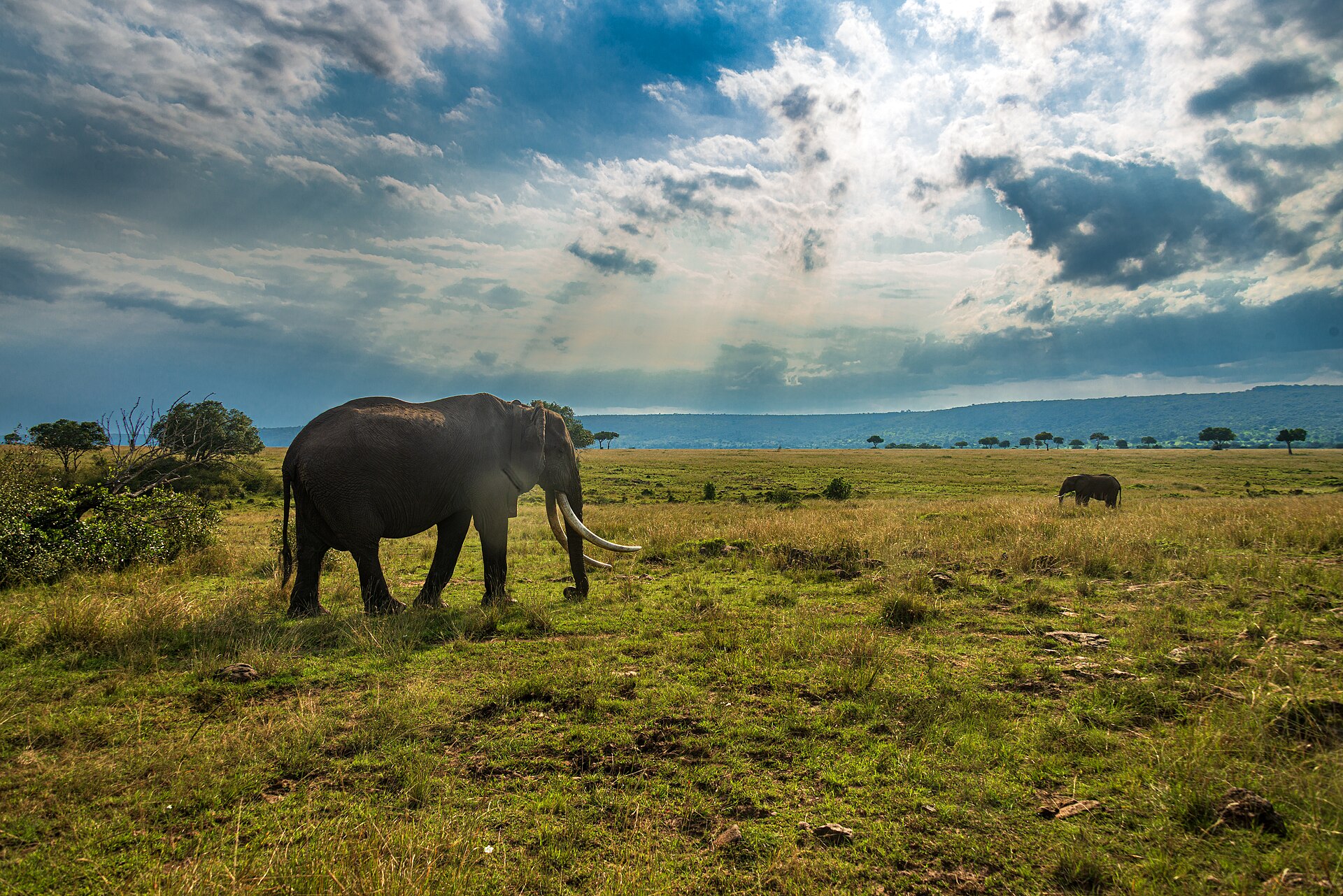 Safari Walking on Chyulu on Chyulu Hills Walking Safari
