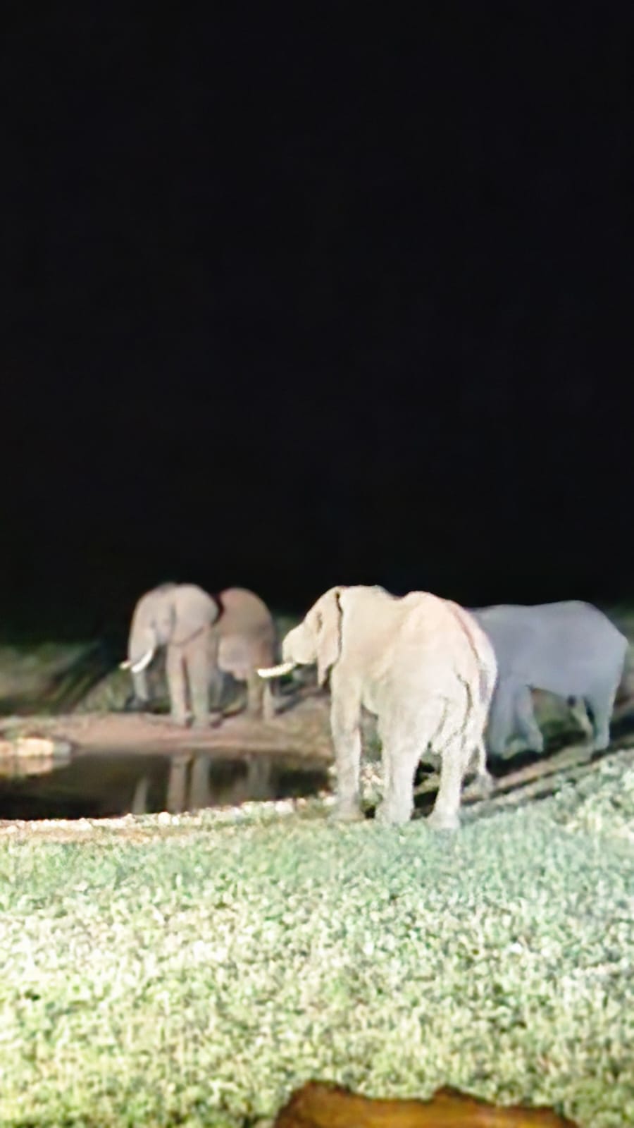 Day 1 on 5-Day Amboseli and Tsavo West Safari