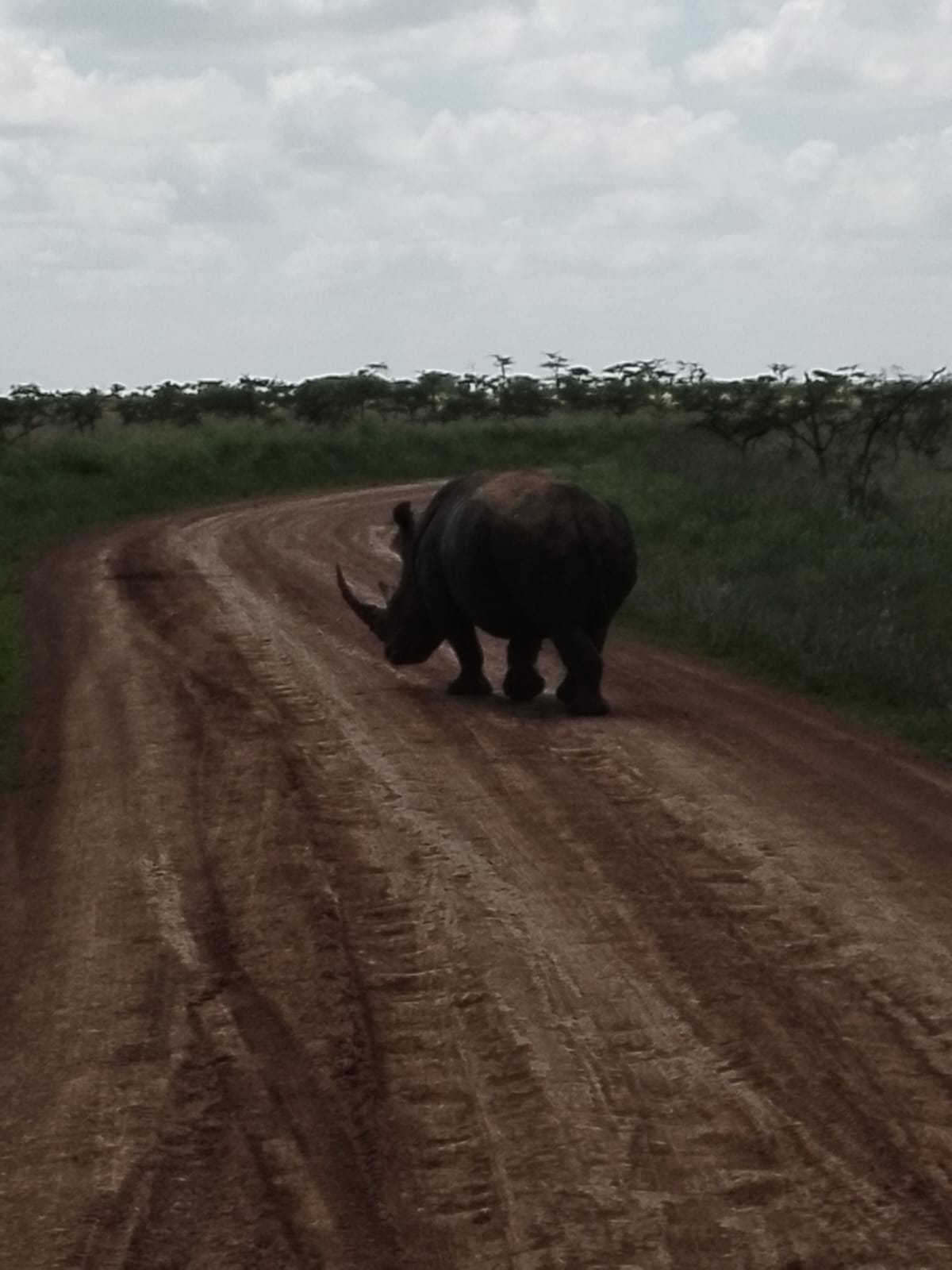 Day 4 on 5-Day Amboseli and Tsavo West Safari