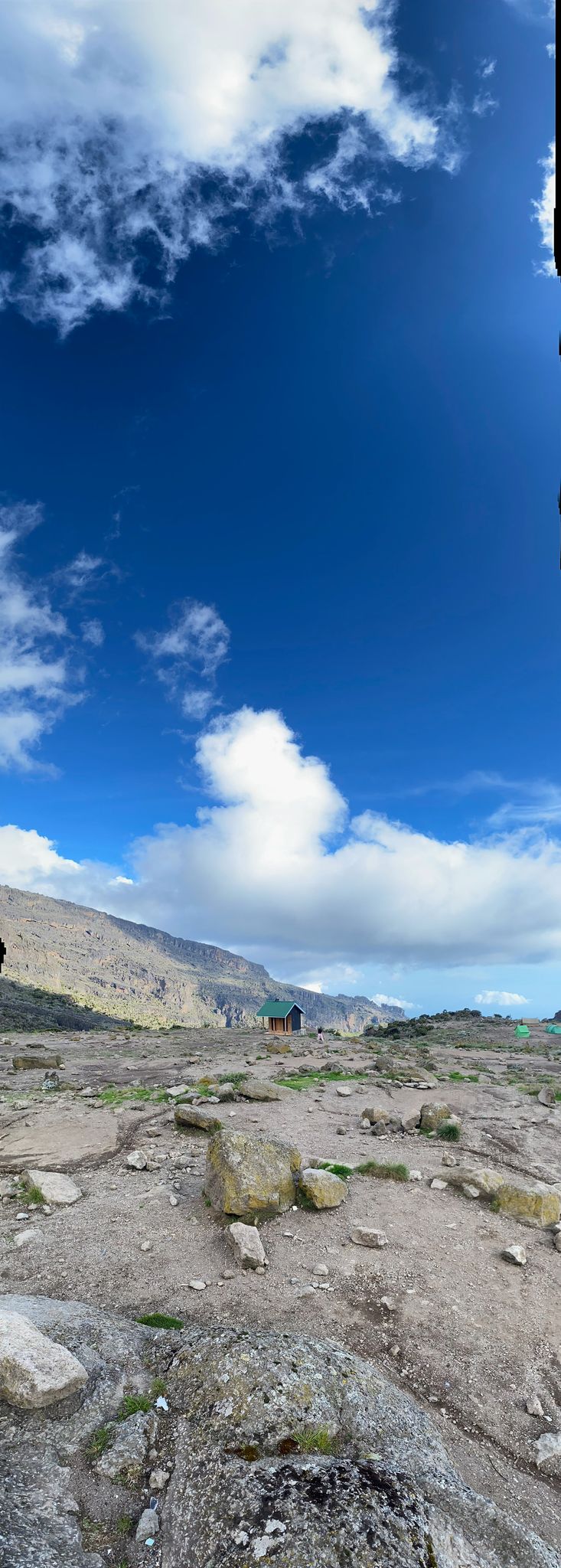 Blue Mountain Safaris field image