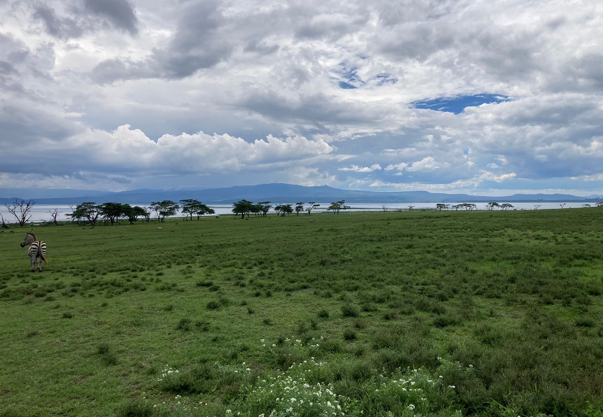 Day 1 on 3-Day Mount Kenya Highland Explorer