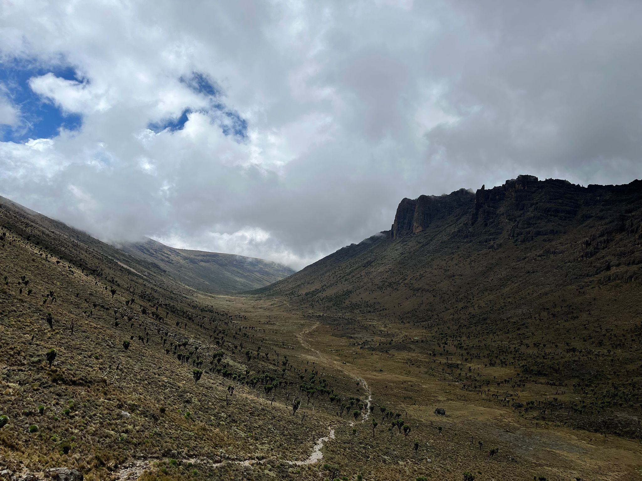 Day 2 on Highlands, Conservation and Nature Pack