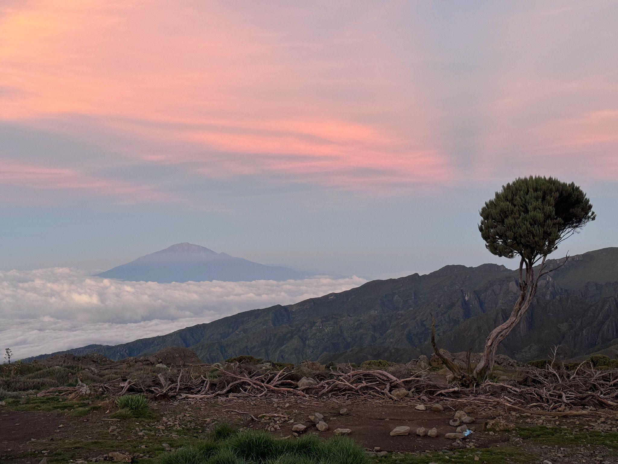 Day 2 on 3-Day Samburu and Northern Kenya Safari