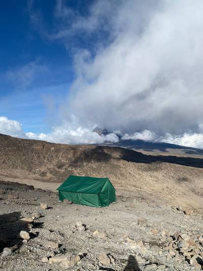 Blue Mountain Safaris field image