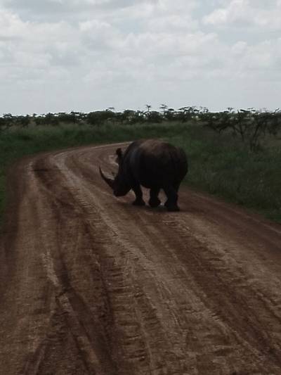 Blue Mountain Safaris field image