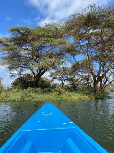 Blue Mountain Safaris field image