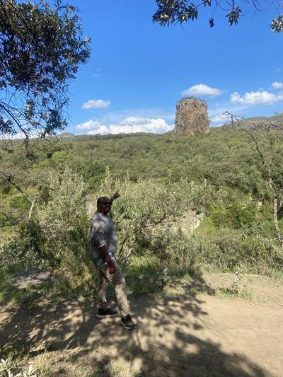 Blue Mountain Safaris field image