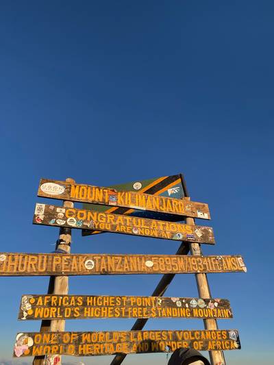 Blue Mountain Safaris field image