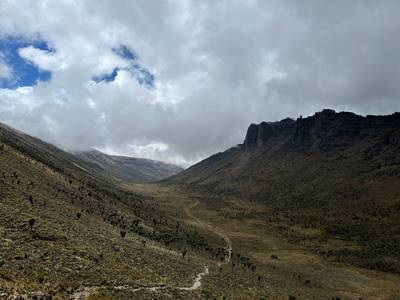 Blue Mountain Safaris field image