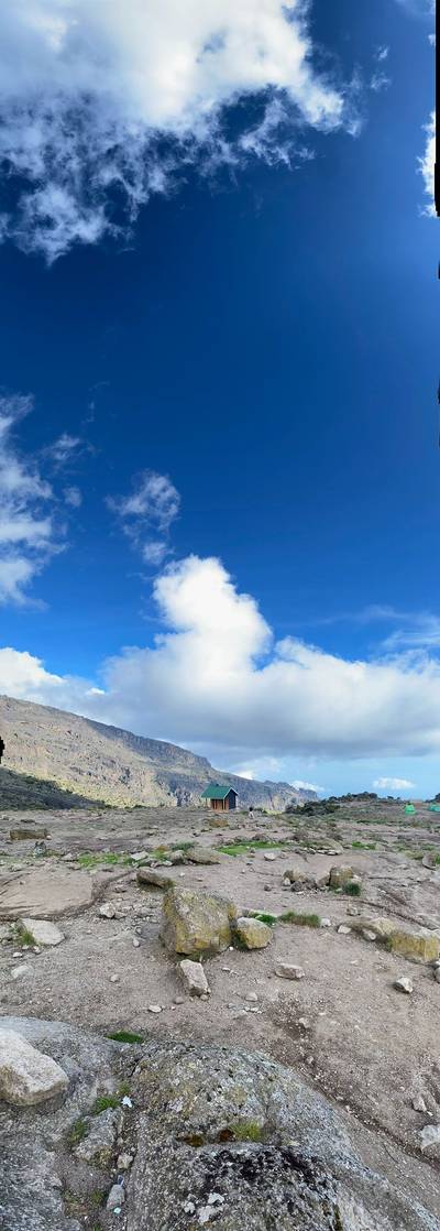 Blue Mountain Safaris field image