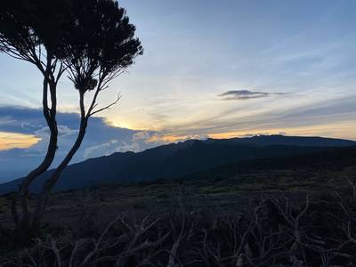Blue Mountain Safaris field image