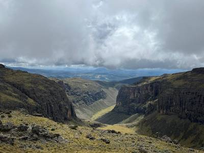 Blue Mountain Safaris field image