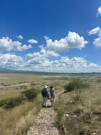 Blue Mountain Safaris field image