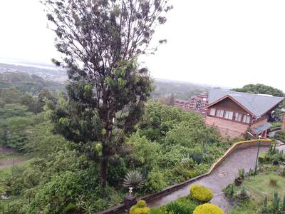 Blue Mountain Safaris field image