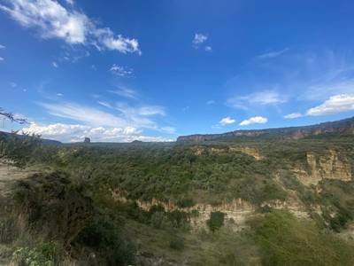 Blue Mountain Safaris field image