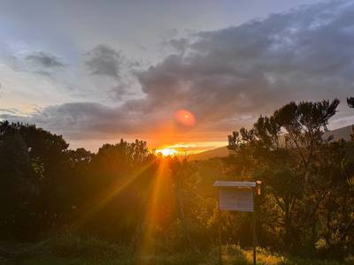 Blue Mountain Safaris field image