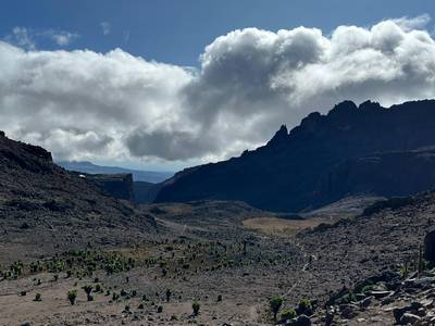 Blue Mountain Safaris field image