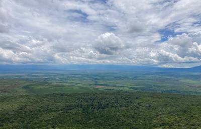 Blue Mountain Safaris field image
