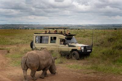 Blue Mountain Safaris field image