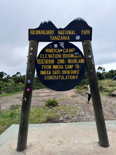 Blue Mountain Safaris field image