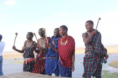 Blue Mountain Safaris field image
