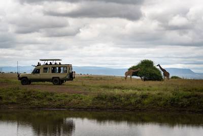 Blue Mountain Safaris field image