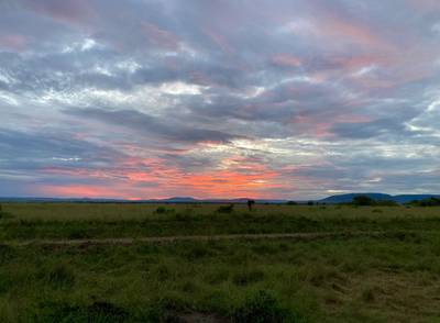 Blue Mountain Safaris field image