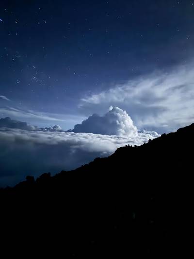 Blue Mountain Safaris field image