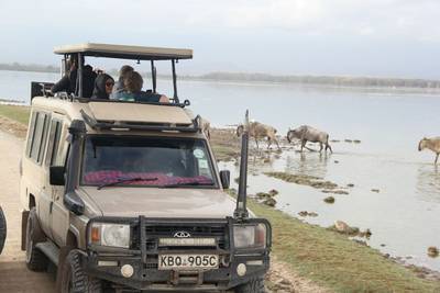 Blue Mountain Safaris field image
