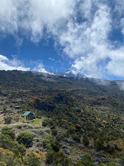 Blue Mountain Safaris field image