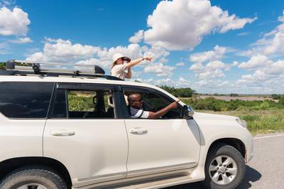Blue Mountain Safaris field image