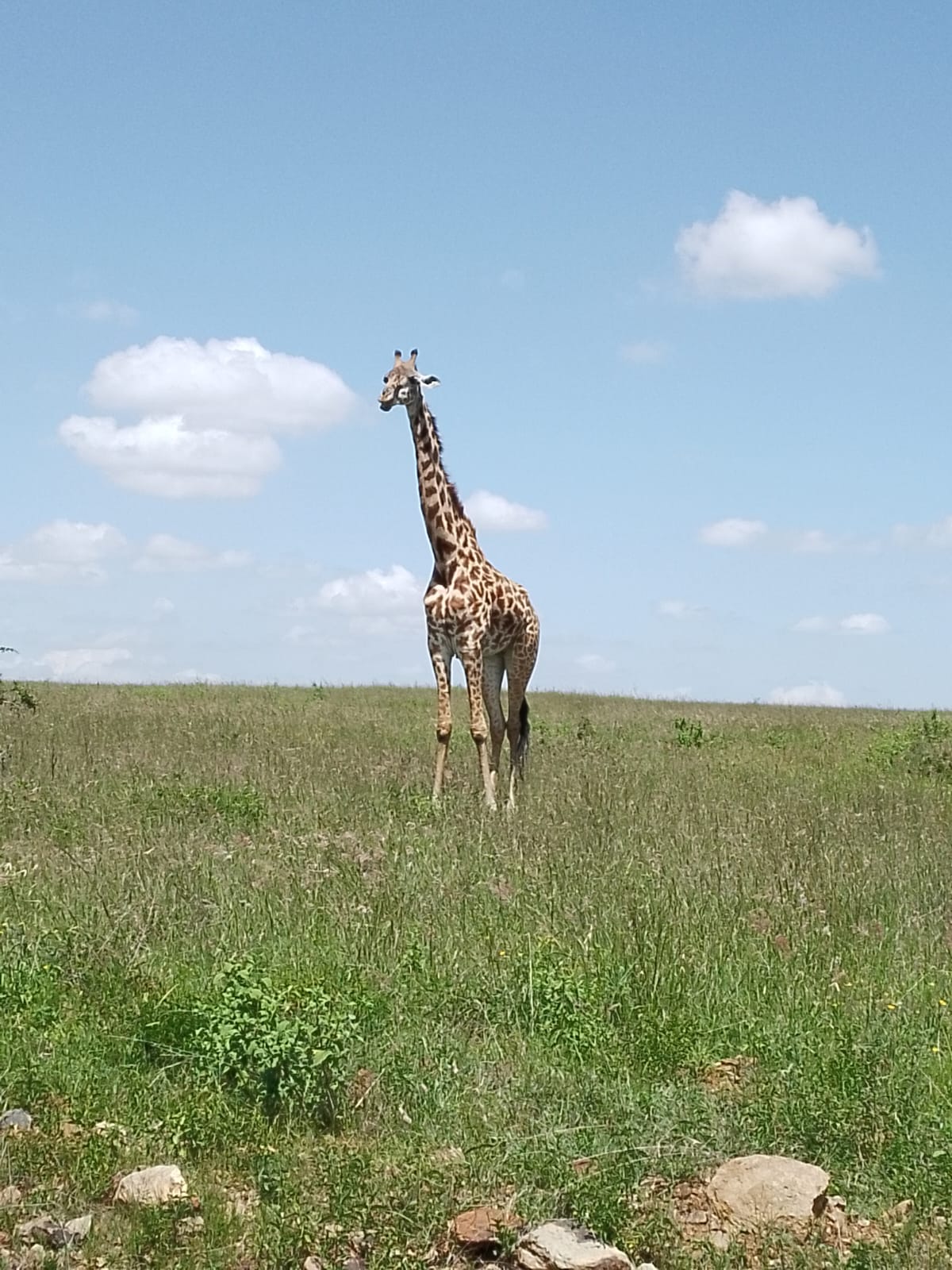 Day 3 on Classic Big Five Safari Pack