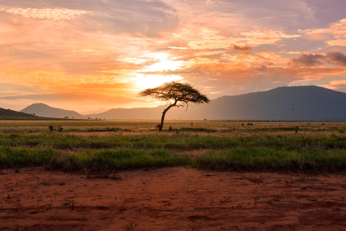 Tsavo East National Park