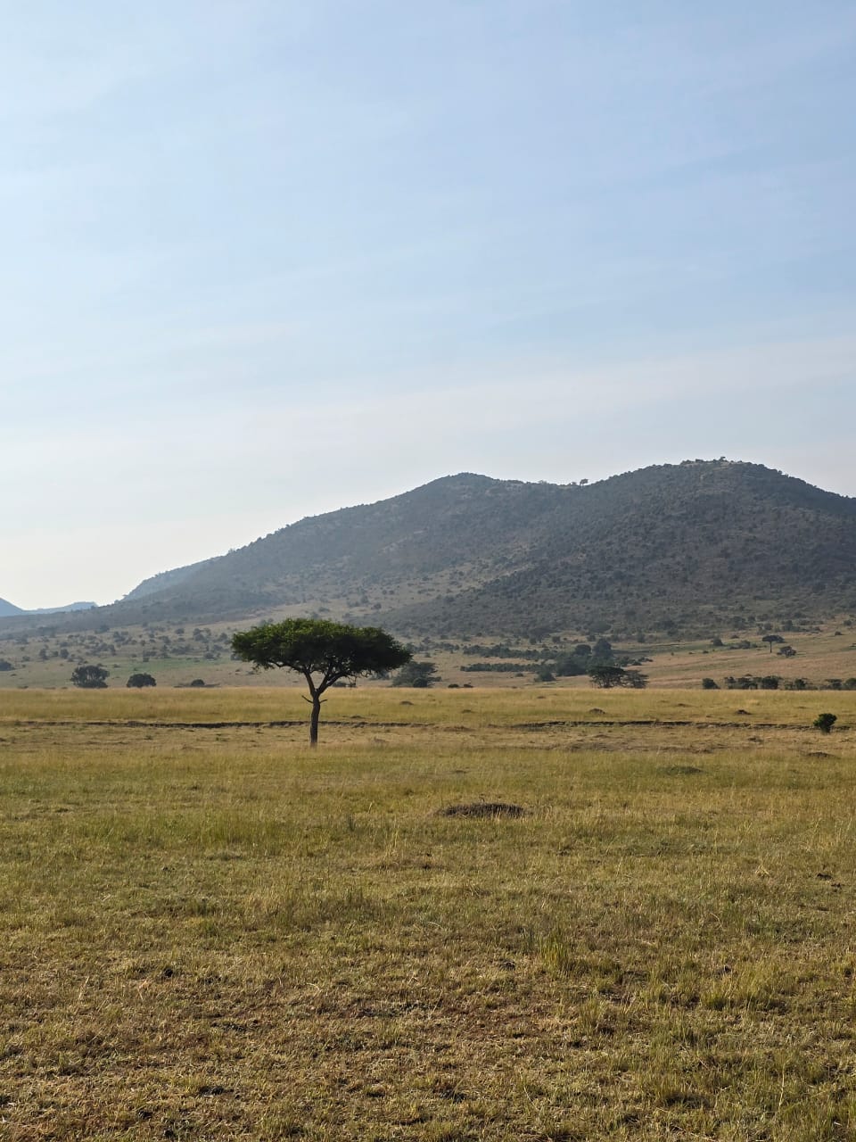 3-Day Samburu and Northern Kenya Safari in Samburu National Reserve