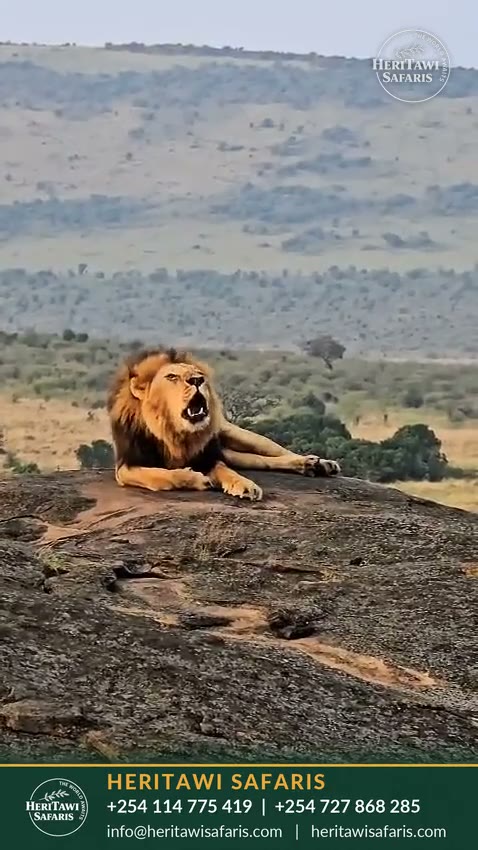 Kenya in its wildest light