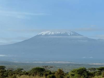 Blue Mountain Safaris field image