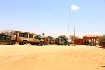 Blue Mountain Safaris field image