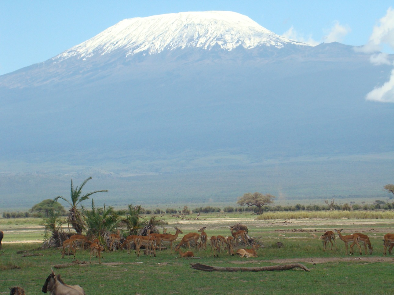 Mount Kilimanjaro — Marangu Route (6 Days) in Mount Kilimanjaro