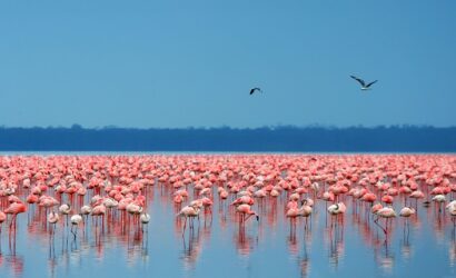 Lake Nakuru National Park