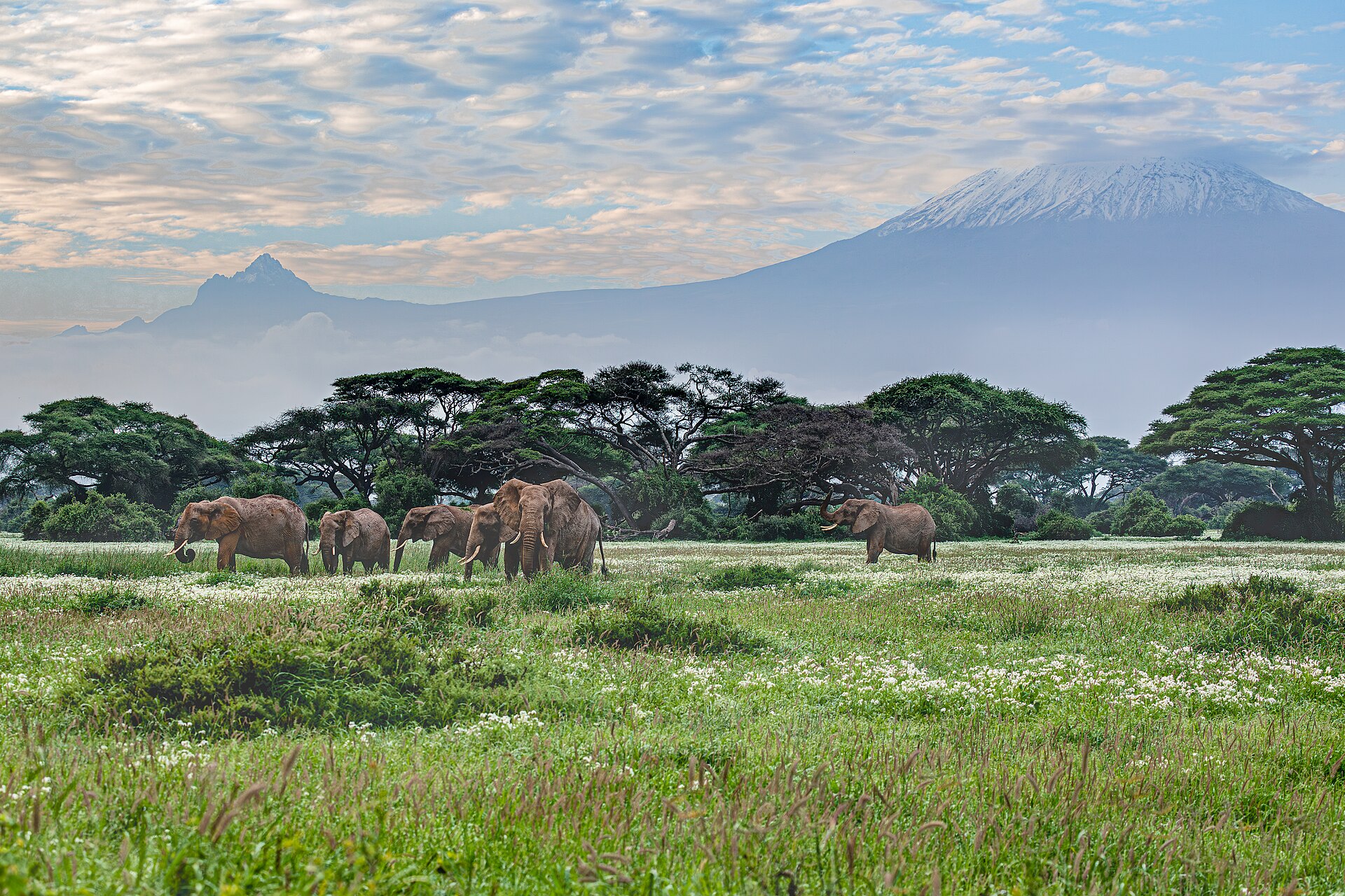 5-Day Amboseli and Tsavo West Safari in Amboseli National Park