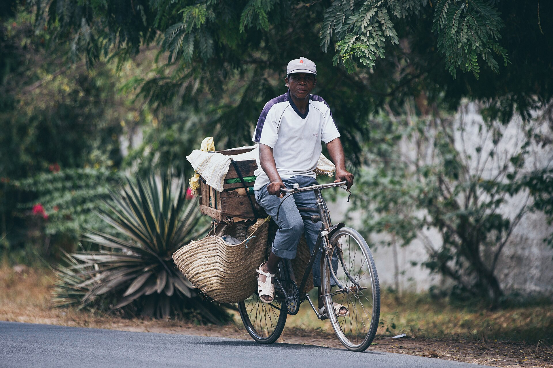 8-Day Kenya Safari and Coast Connection in Diani Beach