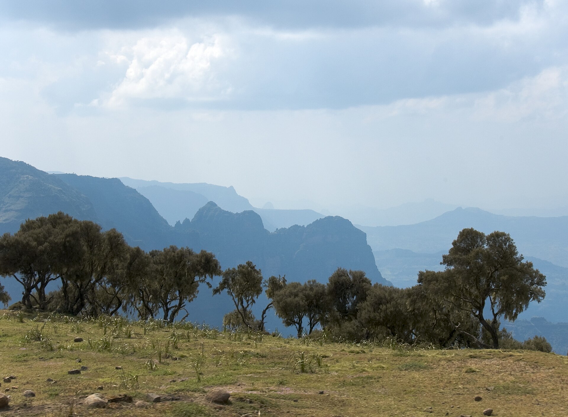 Gondar → Debark → Sankaber on Simien Mountains Trek — 5 Days (Ethiopia)