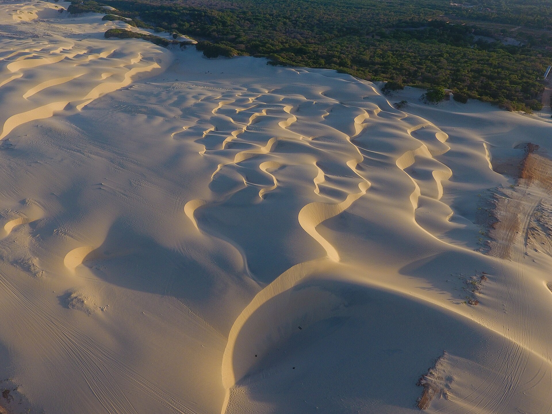 Arrive Diani on Diani Beach — 3 Days
