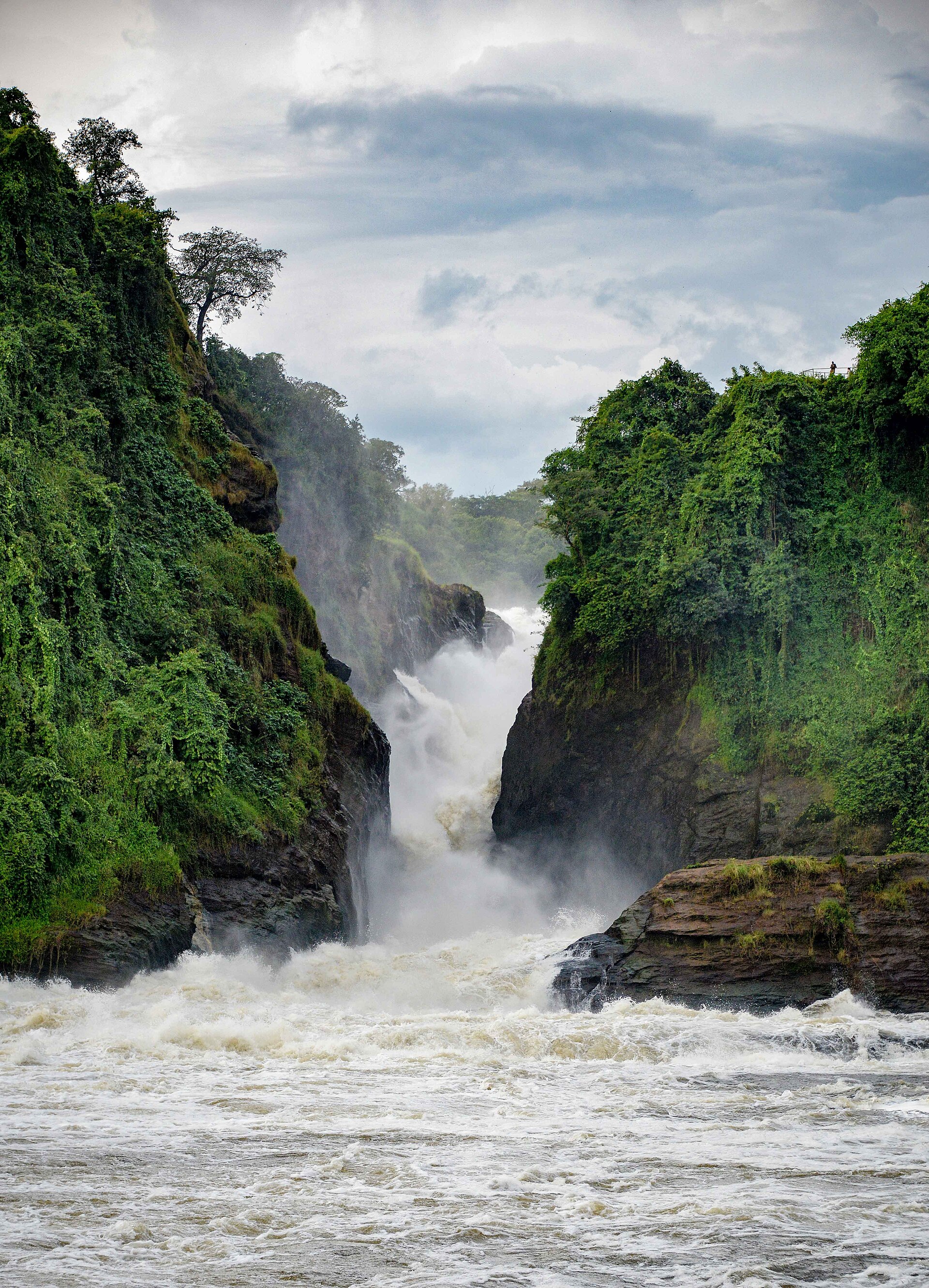 Full Day Murchison on Murchison Falls Safari — 3 Days (Uganda)