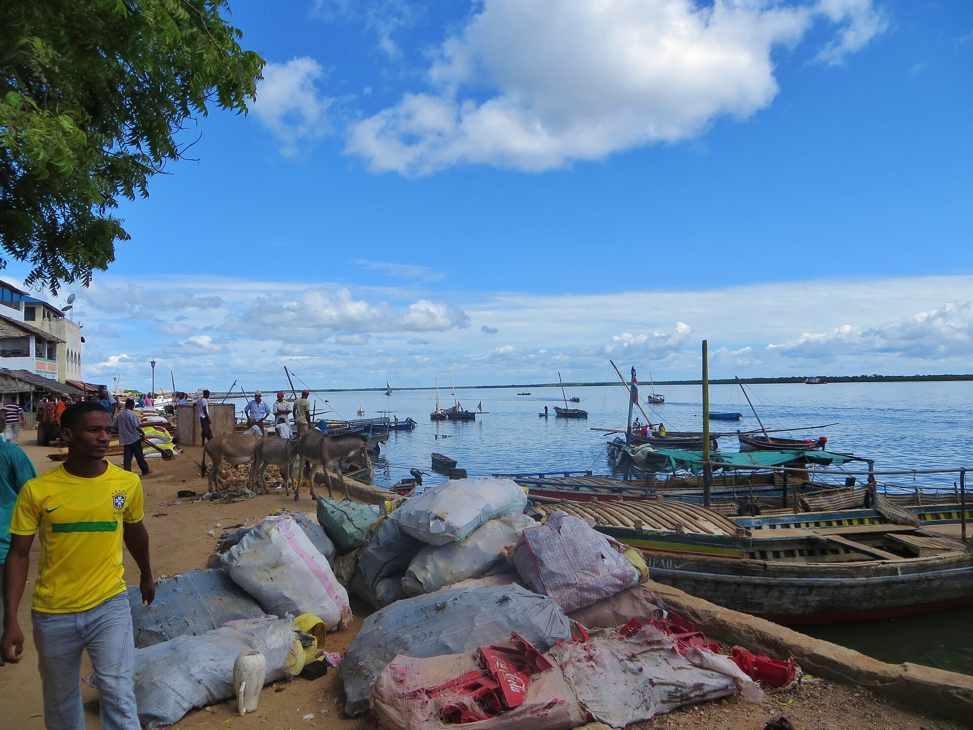 Lamu → Nairobi on Lamu Old Town — 3 Days