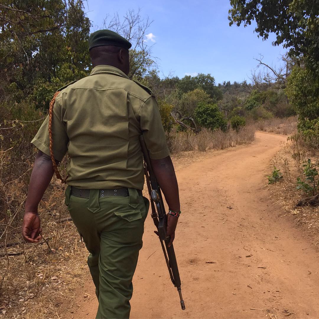 Experience Kenya on Ngare Ndare Day Trip