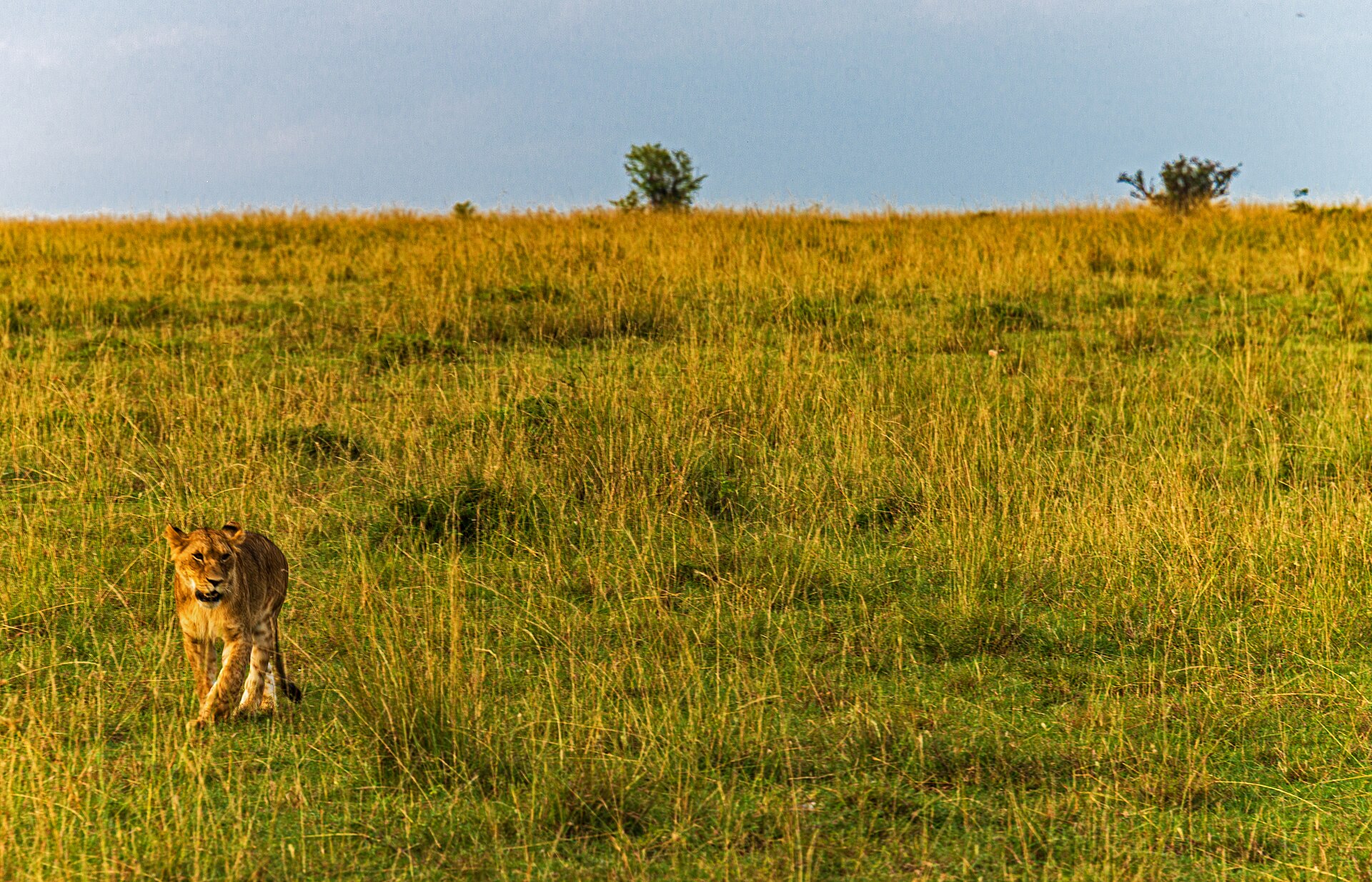 Maji moto – Letukunyi Camp on Maji Moto Loita Hills – Nguruman Trek