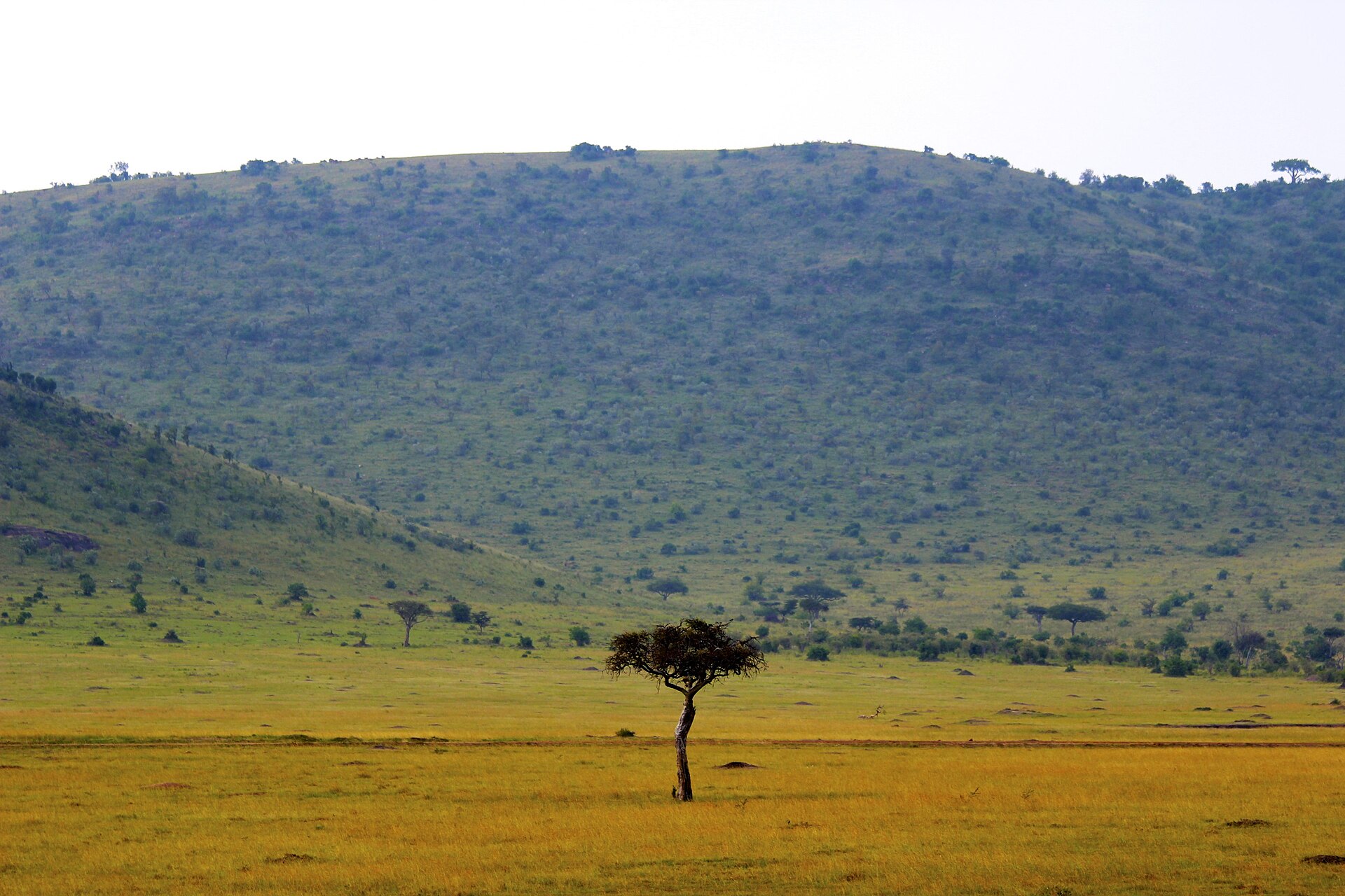 Letukunyi Camp - Morinjo on Maji Moto Loita Hills – Nguruman Trek