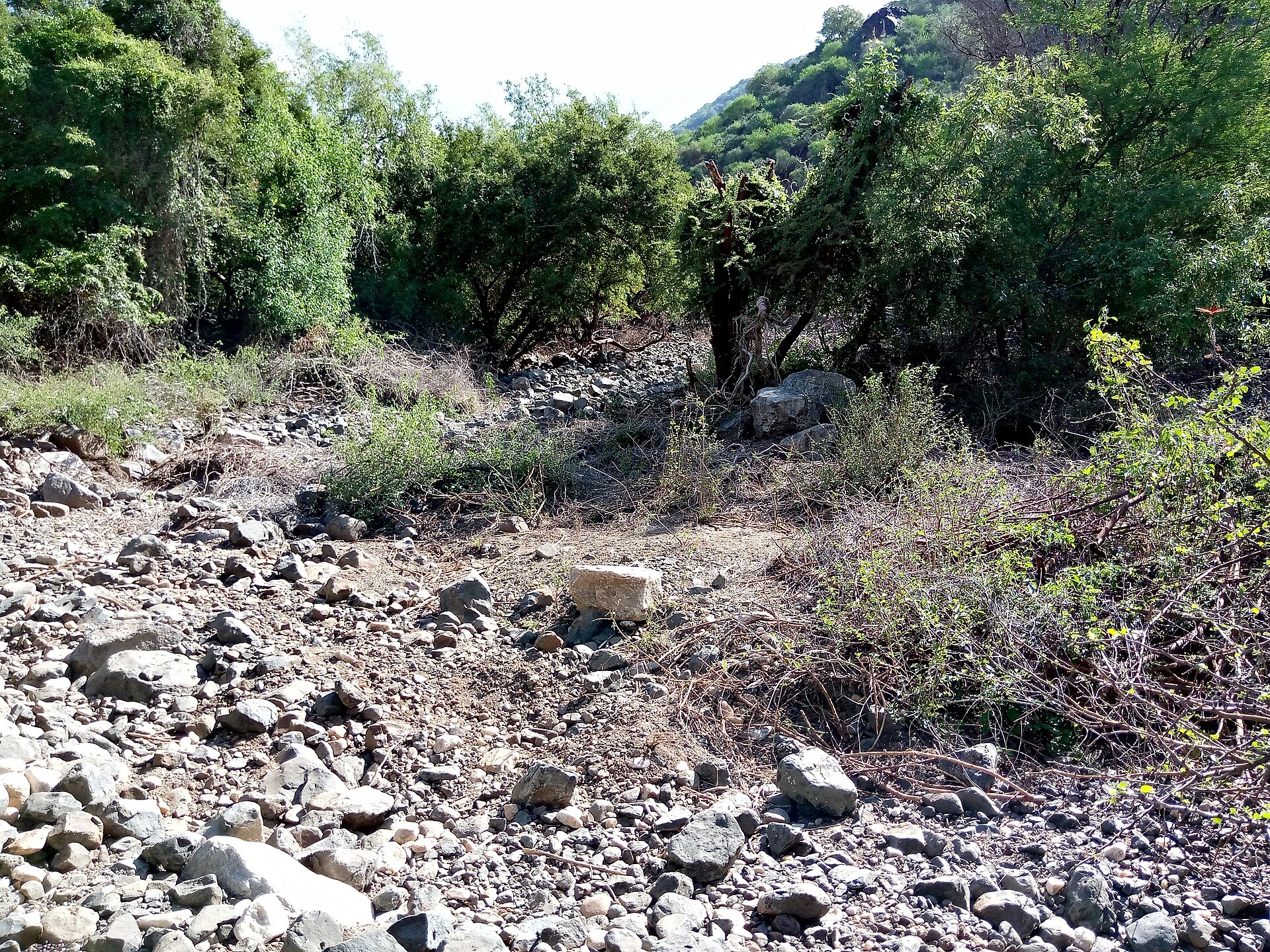 Ngurumani - Nairobi on Maji Moto Loita Hills – Nguruman Trek